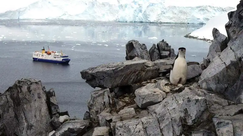 Cruzeiros Antártida