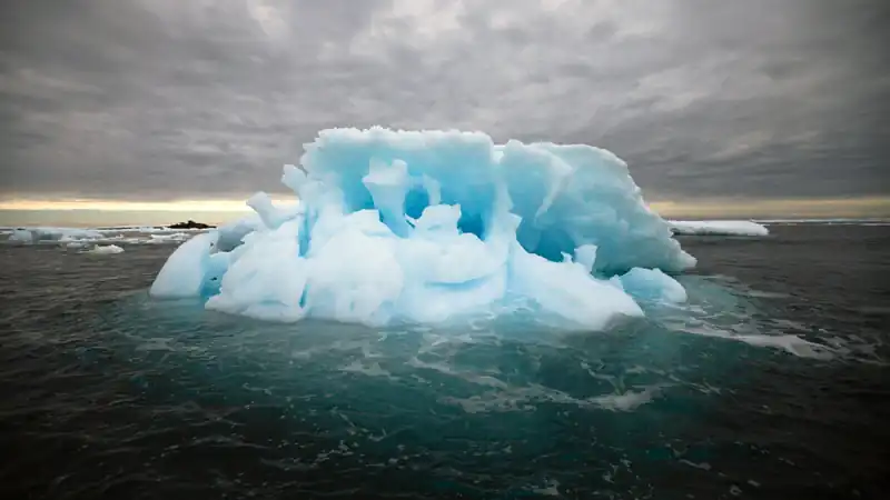 Cruzeiros Antártida