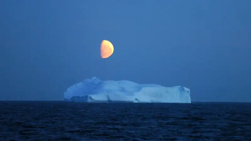 Cruzeiros Antártida