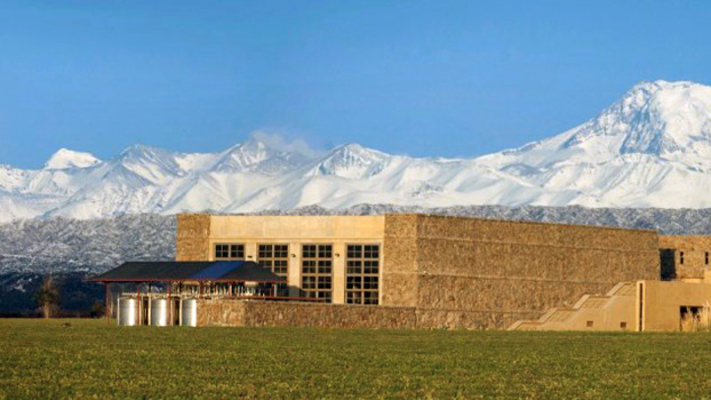 Mendoza- Bodega Séptima