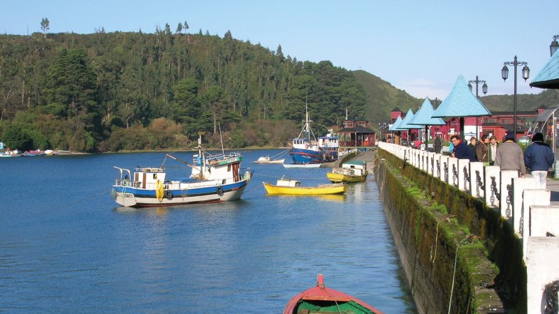 Puerto Montt - Mercado