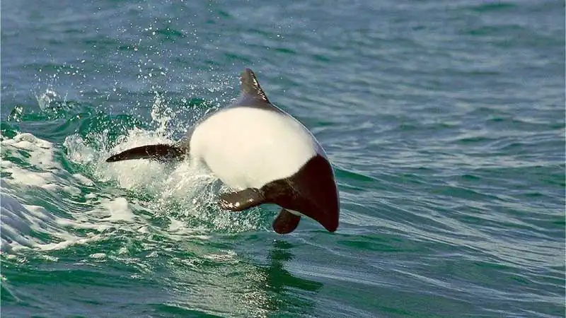 Vale Inferior, Gaiman e Museu Paleontológico de Trelew