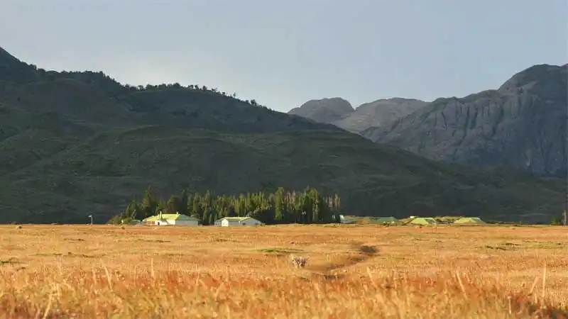 Fazenda Cristina Classic