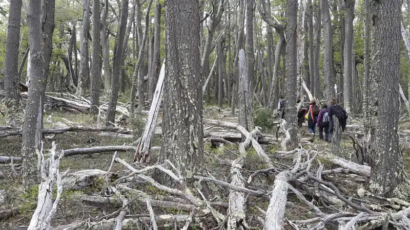 Aventura Glaciares Escondidos