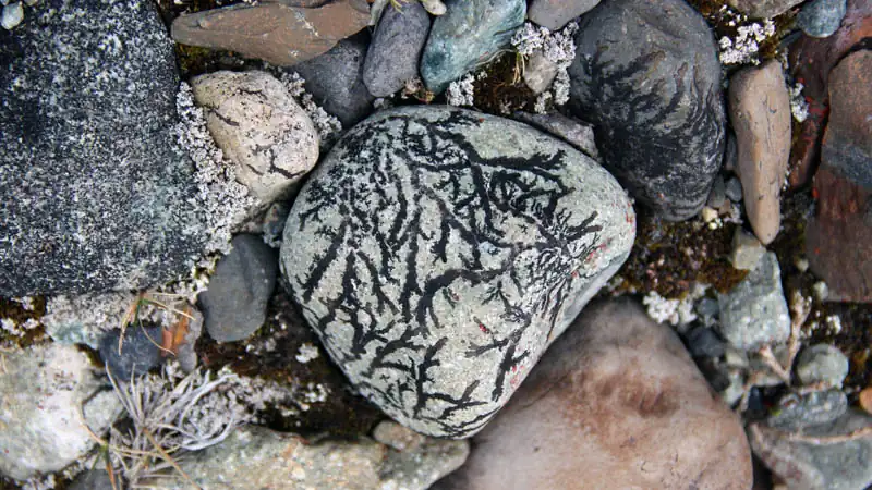 Aventura Glaciares Escondidos