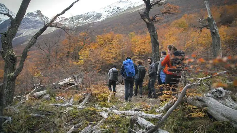 Glaciar Cagliero Ice Trek