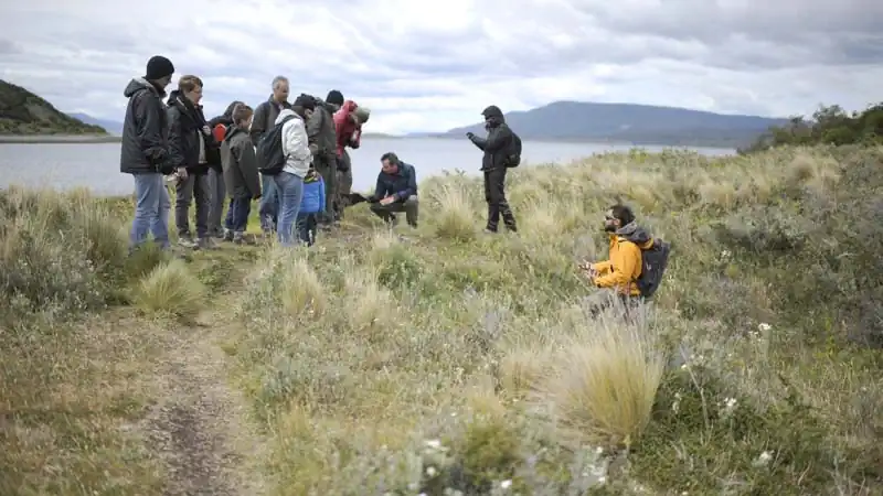 Ilha Gable e Pingüinera com Fazenda Harberton