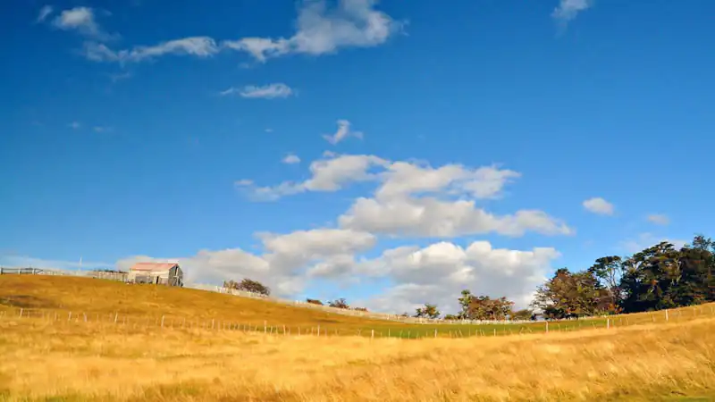 Ilha Gable e Pingüinera com Fazenda Harberton