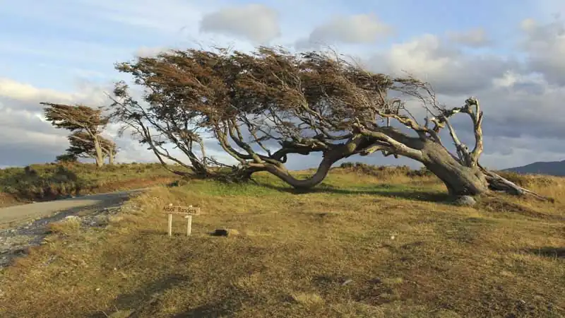 Ilha Gable e Pingüinera com Fazenda Harberton