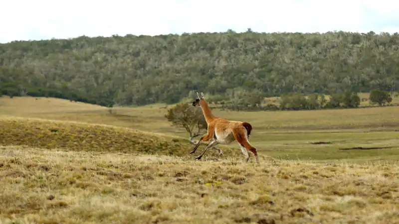 Cabo São Paulo e Fazenda Rolito