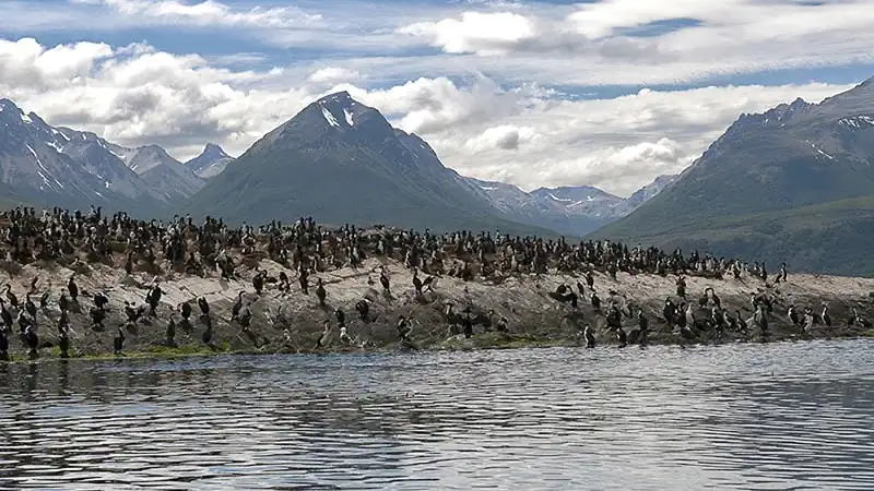 Navegação Canal Beagle em Iate