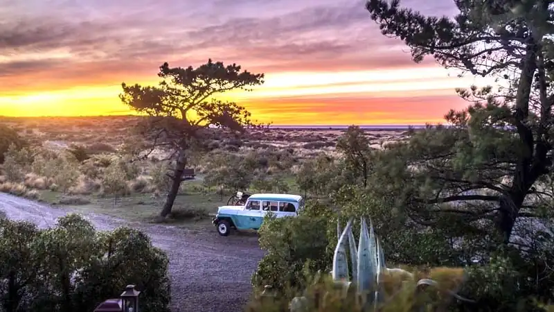 Colônia de pinguins na Estancia El Pedral