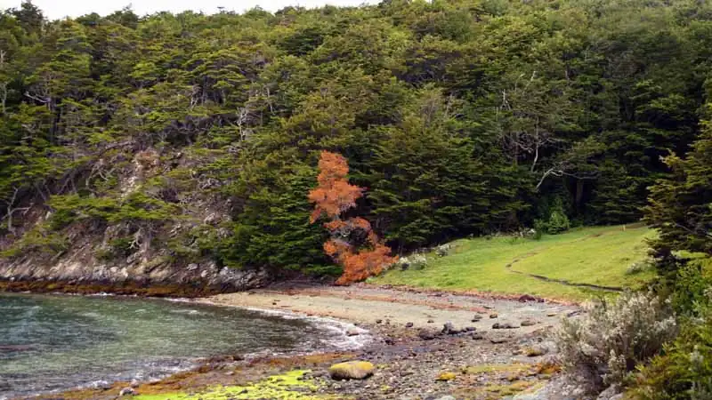 Parque Nacional Tierra del Fuego