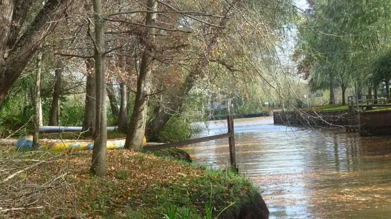 Tigre e Delta com Navegação