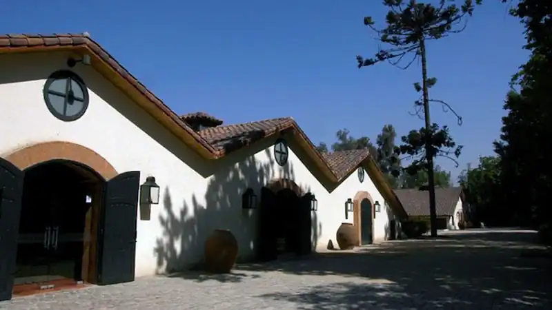 Visita ao Vinhedo Concha y Toro 