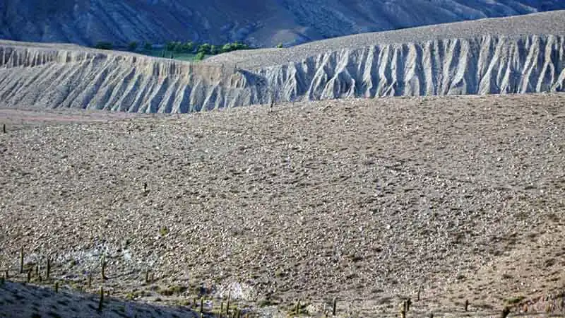 Salinas Grandes por San Antonio de los Cobres