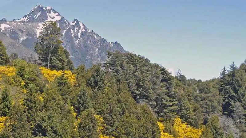 Puerto Blest e Cascada dos Cantaros