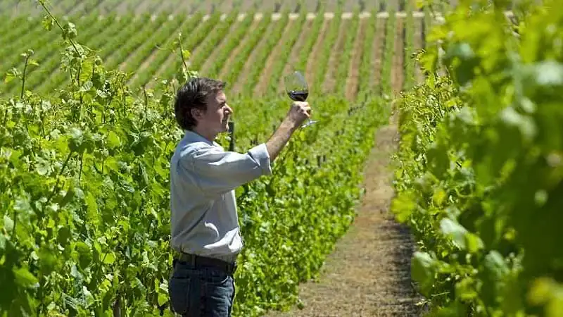 Experiências Sensoriais Premium, Dia de Vinhos