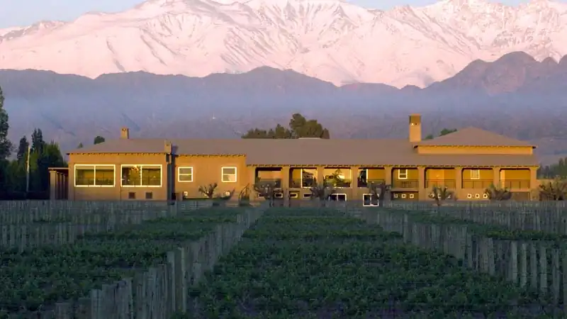 Experiências Sensoriais Premium, Dia de Vinhos