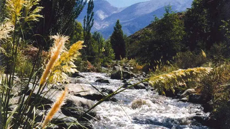 Mountain Bike em Vale Potrerillos