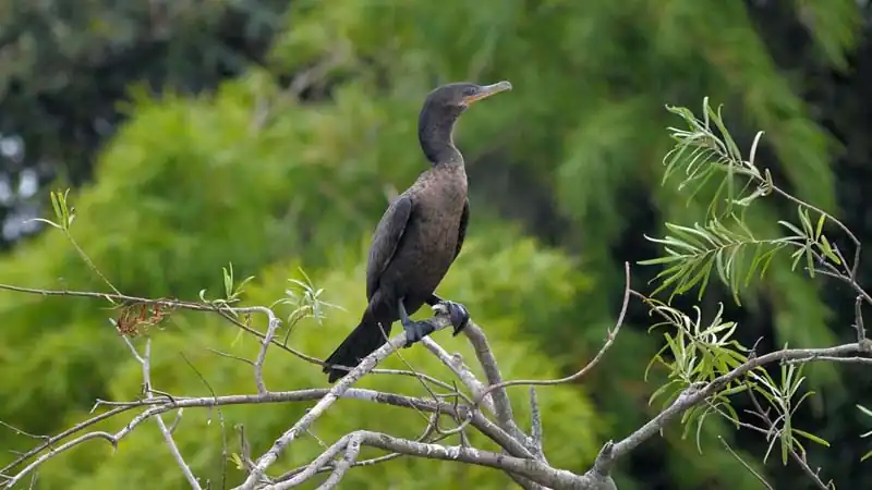 City Tour em Puerto Iguazu