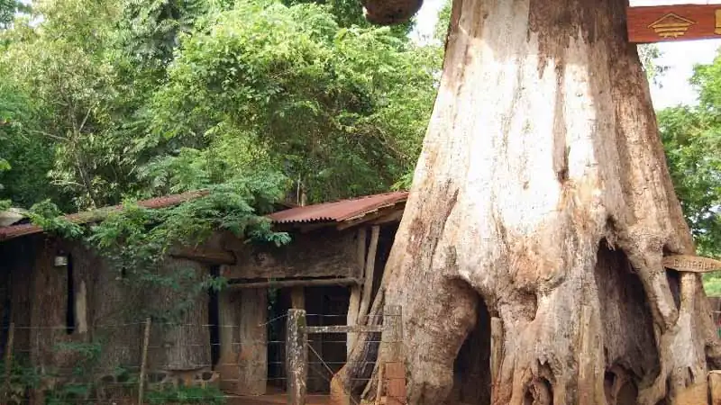 City Tour em Puerto Iguazu