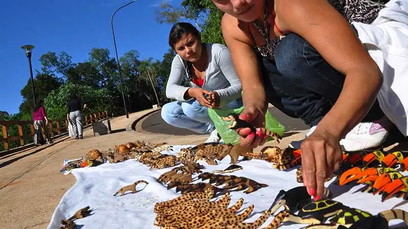 Aldeia Guarani Fortin M Borore