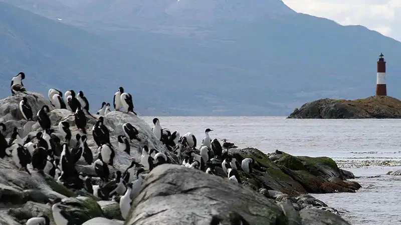 Navegação pelo Canal de Beagle