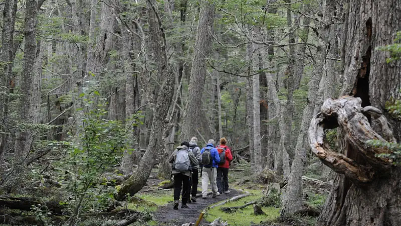 Trekking e canoas no Parque Nacional Tierra del Fuego