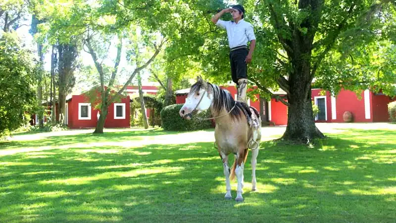Fazenda La Bamba de Areco