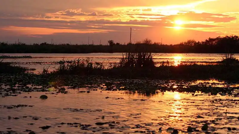 Aguapé Lodge - Pousada