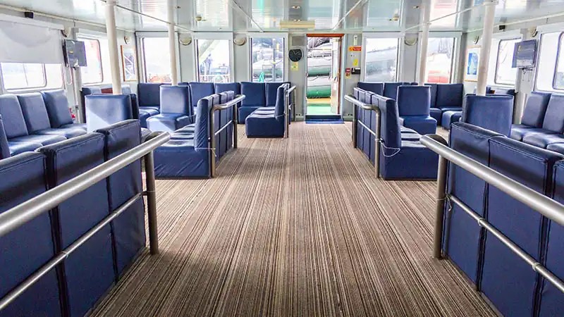 Em Busca do Círculo Polar