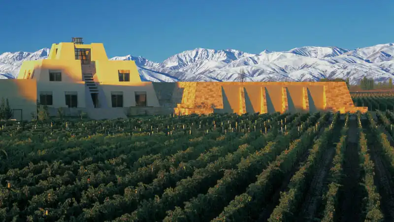 Rota do Vinho em Mendoza e Vale do Uco