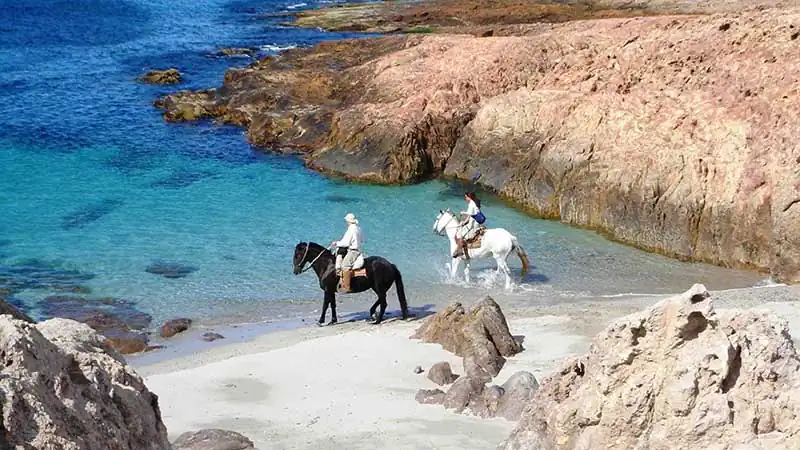 Patagônia Detox: Escapada para Bahía Bustamante