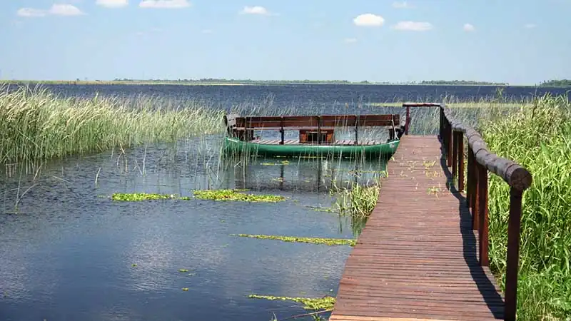 Safári nos Esteros del Iberá no Aguapé Lodge