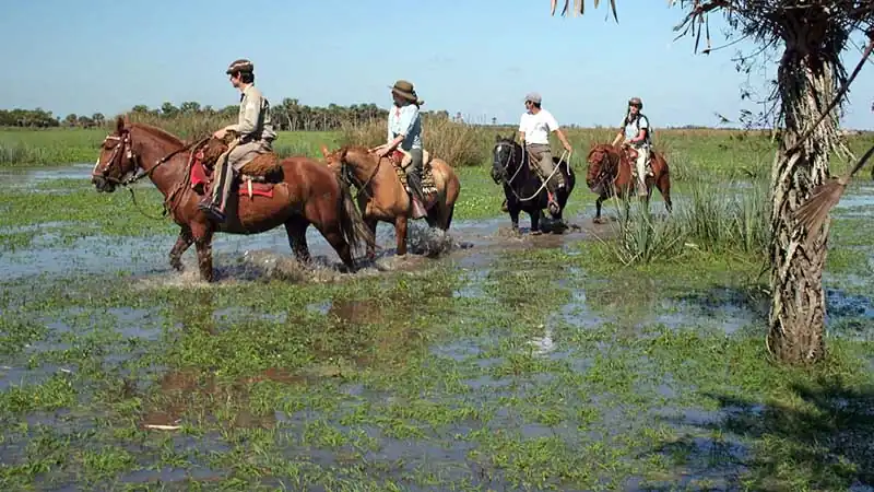 Safári nos Esteros del Iberá no Aguapé Lodge