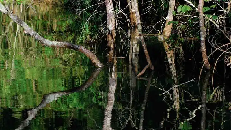 Escapada aos Esteros del Iberá em Puerto Valle